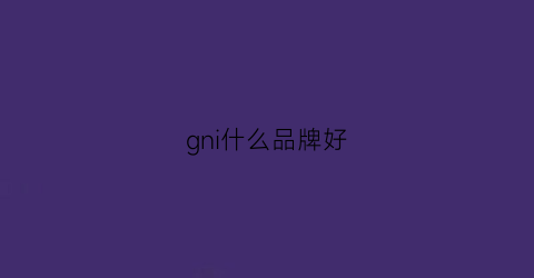 gni什么品牌好(gnaki什么牌子)