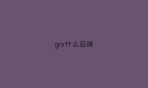 gnr什么品牌(gnw什么牌子)