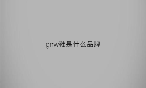 gnw鞋是什么品牌(gnc鞋子是什么牌子中文)