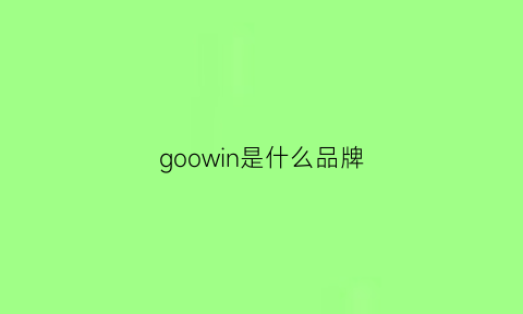 goowin是什么品牌(goognou是什么牌子的)