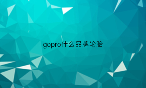 gopro什么品牌轮胎(goproentro什么轮胎)