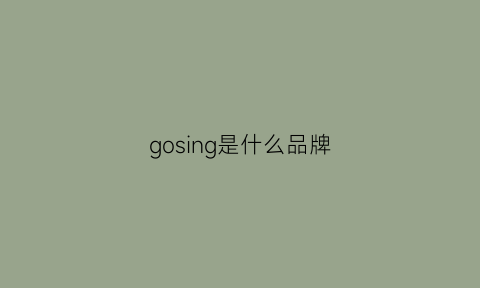 gosing是什么品牌(gozs是什么品牌)