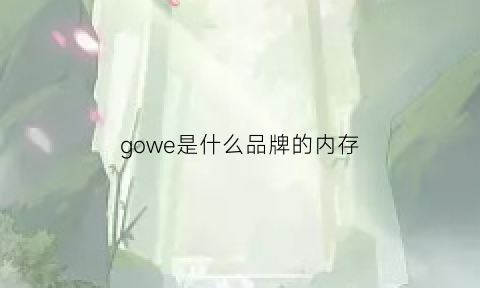 gowe是什么品牌的内存(gskill是什么牌子的内存条)