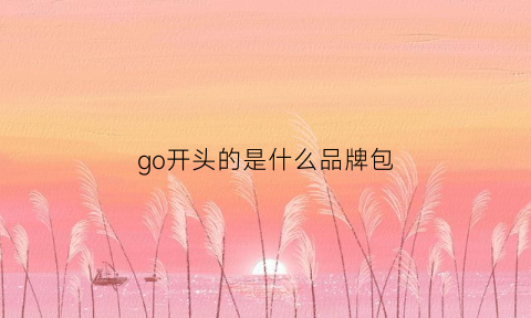 go开头的是什么品牌包(go开头的奢侈品牌)