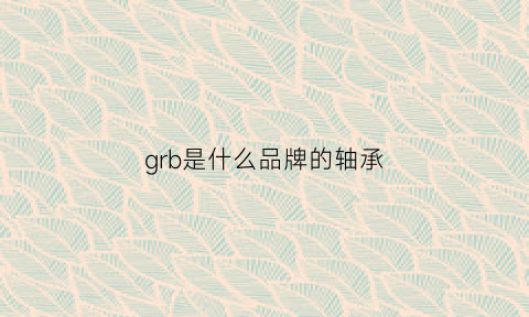 grb是什么品牌的轴承(gyz轴承是什么牌子)