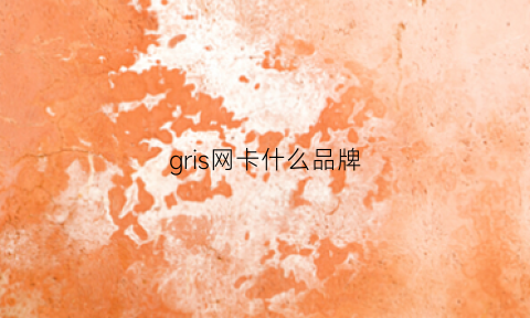 gris网卡什么品牌(gso网卡)