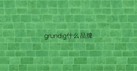 grundig什么品牌(grid是什么牌子)