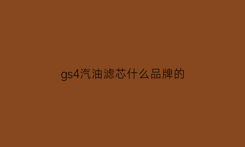 gs4汽油滤芯什么品牌的(gs4汽油滤芯是内置还是外置)