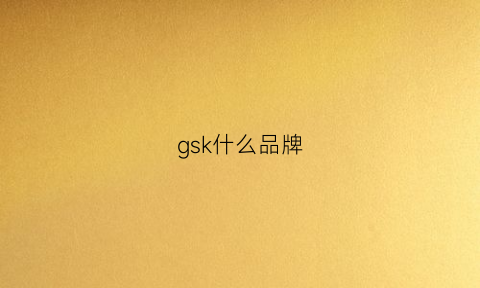 gsk什么品牌(GSK什么品牌包)