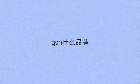 gsn什么品牌(gs是什么品牌)