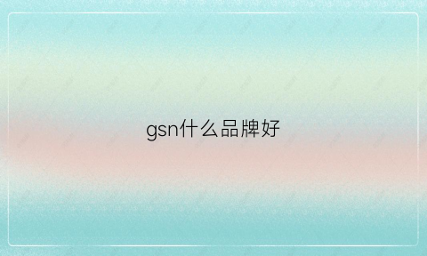 gsn什么品牌好(gs是品牌吗)