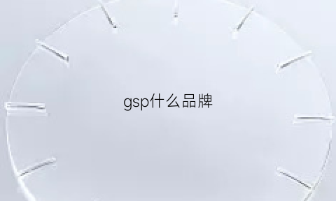 gsp什么品牌(gsp是做什么的)