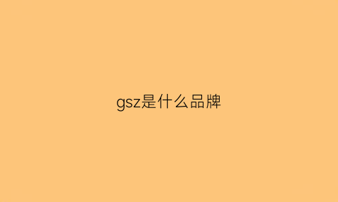 gsz是什么品牌(gsz是什么牌子)