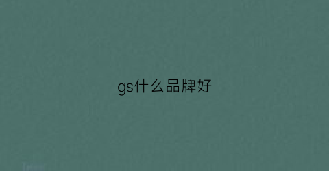 gs什么品牌好(gs是品牌吗)