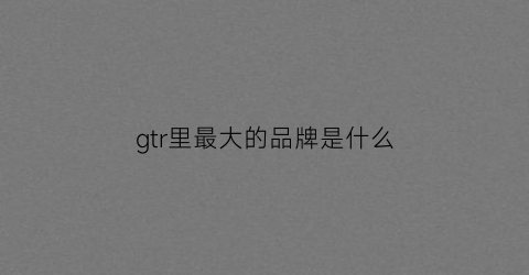 gtr里最大的品牌是什么