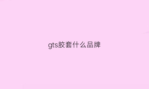 gts胶套什么品牌