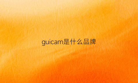 guicam是什么品牌(guico是啥牌子鞋)