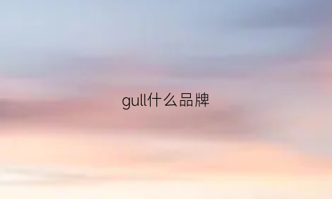 gull什么品牌