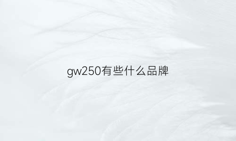 gw250有些什么品牌(gw250有哪些版本)