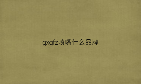 gxgfz喷嘴什么品牌(喷嘴品牌排行榜前十名)