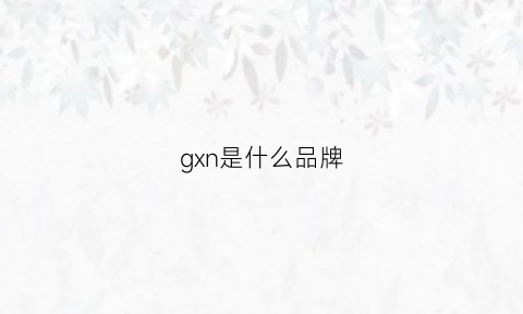 gxn是什么品牌(grnx是什么品牌)