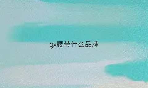 gx腰带什么品牌(gwynns腰带)