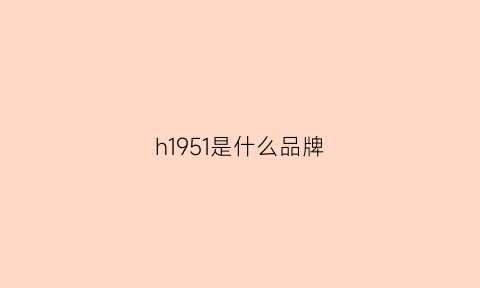 h1951是什么品牌(h1959)