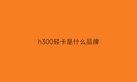 h300轻卡是什么品牌(轻卡总质量4290好还是4495好)