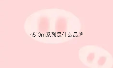 h510m系列是什么品牌(h510mh)