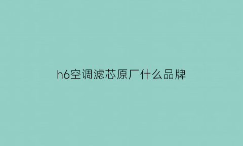 h6空调滤芯原厂什么品牌(哈弗h6原厂空调滤芯什么牌子)