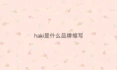 haki是什么品牌缩写(hakd是什么牌子)