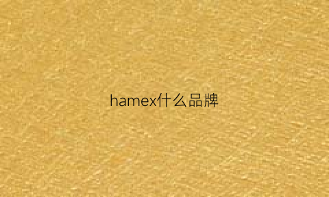 hamex什么品牌(haishome是什么品牌)