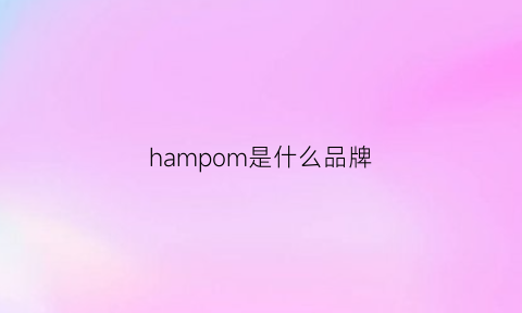 hampom是什么品牌(hampion什么牌子)