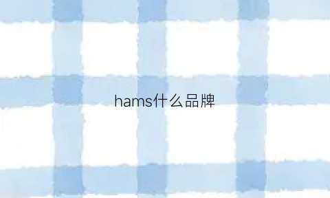 hams什么品牌(harrms是什么牌子)