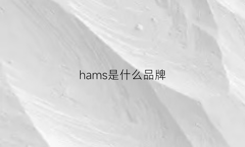 hams是什么品牌