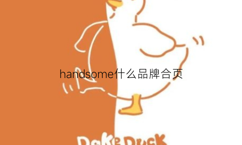 handsome什么品牌合页(simonswerk合页)