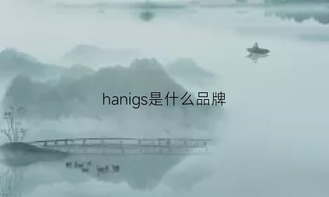 hanigs是什么品牌(hanshin是什么品牌)