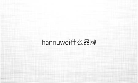 hannuwei什么品牌(hanwha是什么品牌)