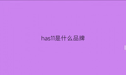 has11是什么品牌(hasee属于什么档次)