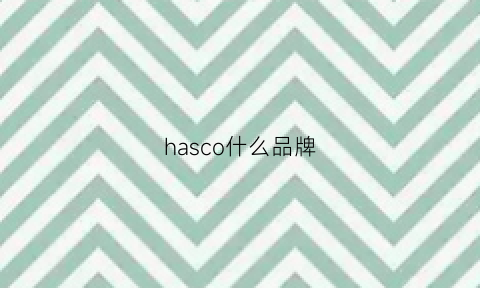 hasco什么品牌(haski品牌)