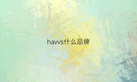 havvs什么品牌(havva属于什么档次)