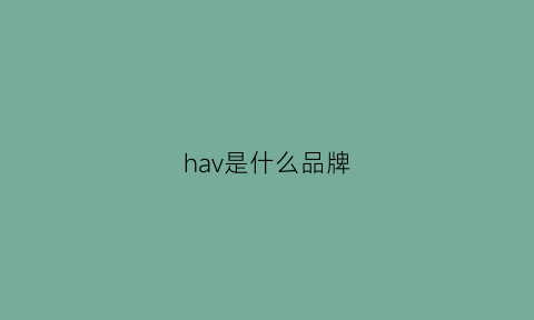 hav是什么品牌(havva属于什么档次)