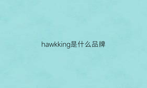 hawkking是什么品牌(hakii是什么品牌)