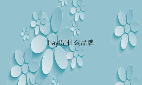 hayl是什么品牌(harvey是什么品牌)