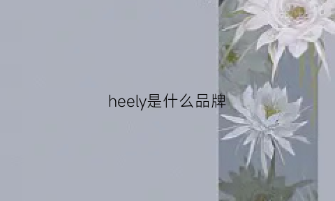 heely是什么品牌(hely是大牌吗)