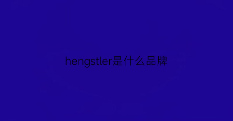 hengstler是什么品牌