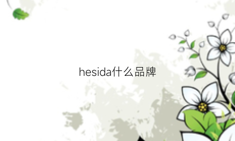 hesida什么品牌(hesinly品牌)