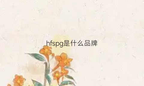 hfspg是什么品牌(hfv是什么品牌)