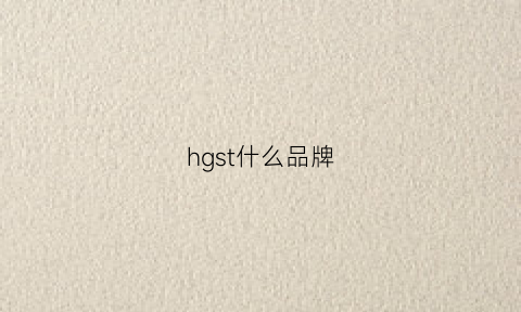 hgst什么品牌(hs是什么牌子)