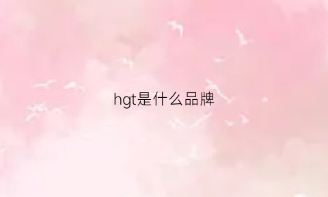 hgt是什么品牌